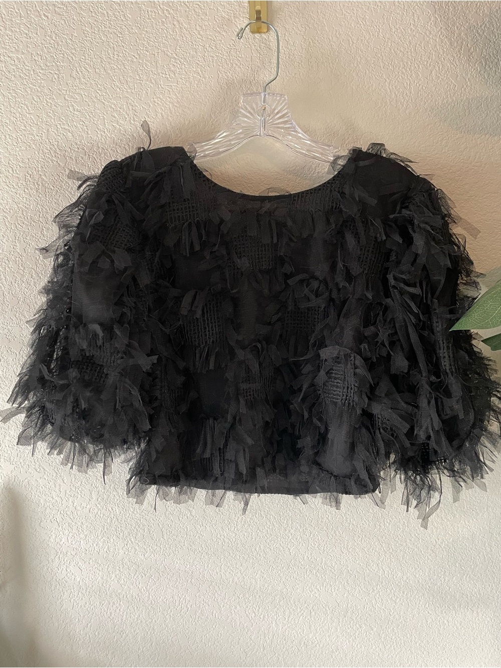 Endless Rose Black Ruffled Sheer Crop Top